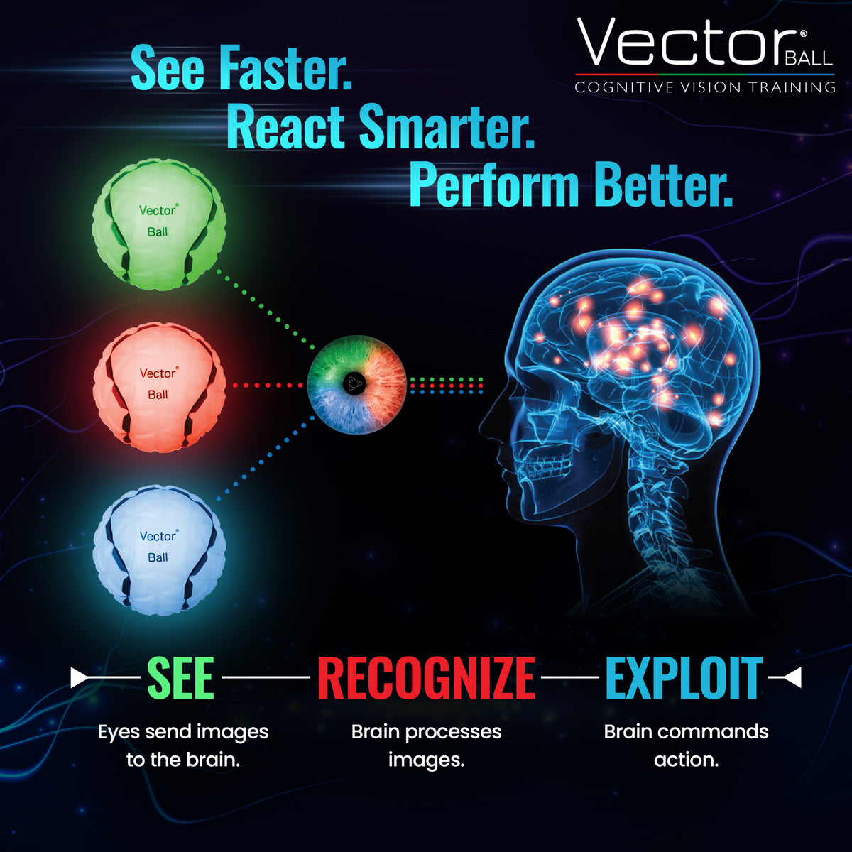 Vector Ball